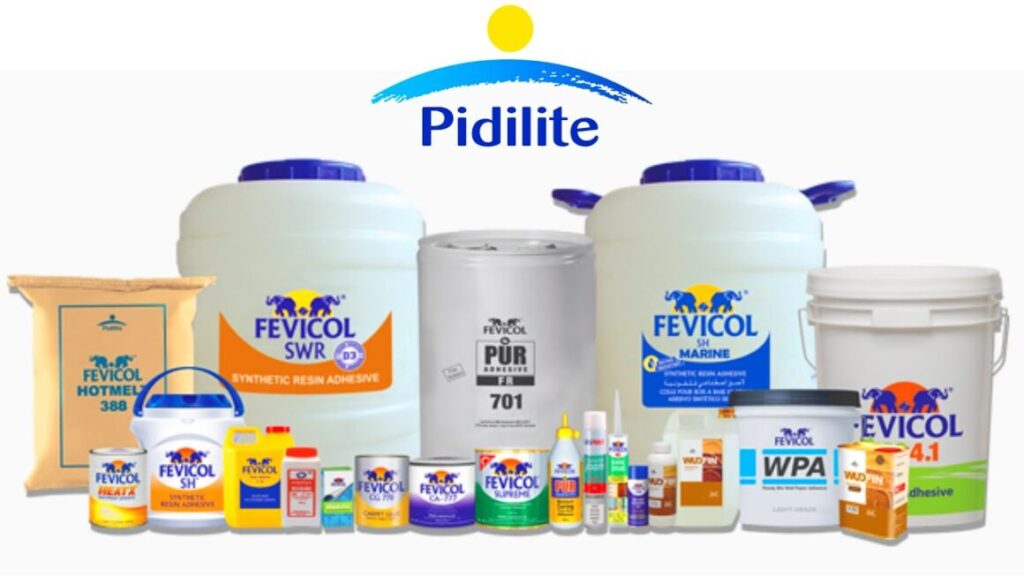 Pidilite Q4 Results