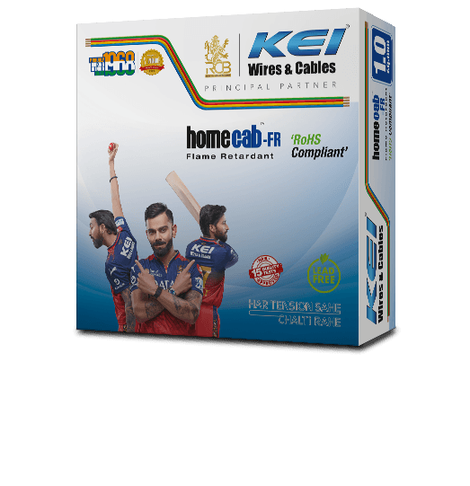 KEI Industries Q4